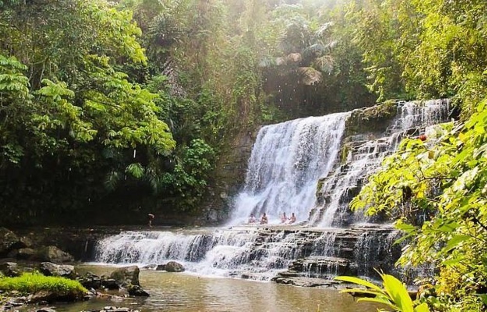 NGS Suites Attraction Pictures