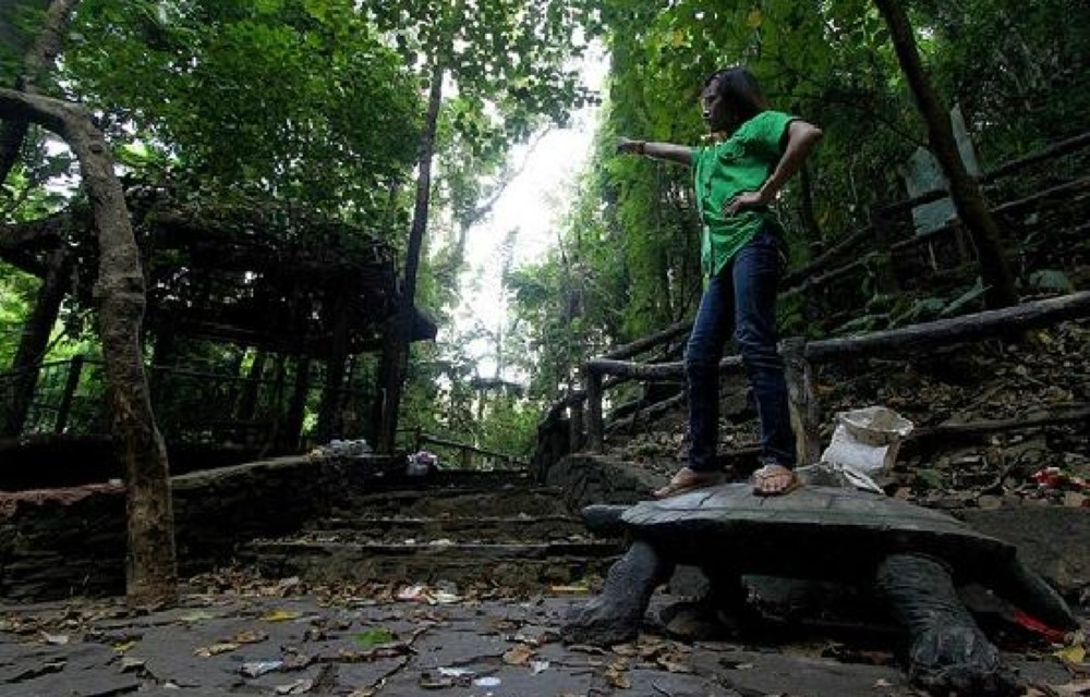 NGS Suites Attraction Pictures